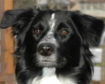 Maggie