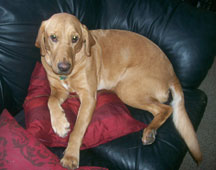 Roxie